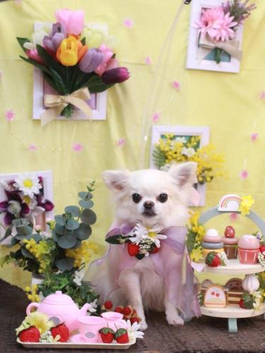 20230314りゅうくん